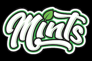 MINTS logo