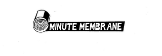 MINUTE MEMBRANE logo