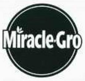 MIRACLE-GRO logo