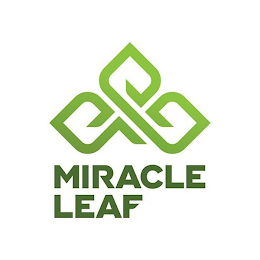 MIRACLE LEAF logo