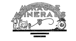 MIRACLE MINERALS logo