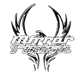 MIRROR FINISH logo
