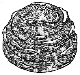 MISCELLANEOUS logo