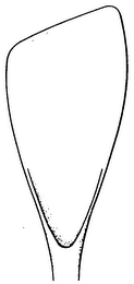 MISCELLANEOUS logo