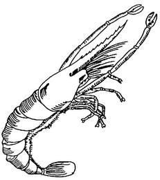 MISCELLANEOUS logo