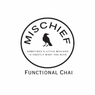 MISCHIEF FUNCTIONAL CHAI SOMETIMES A LITTLE MISCHIEF IS EXACTLY WHAT YOU NEED logo