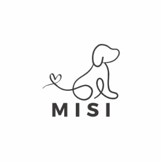MISI logo