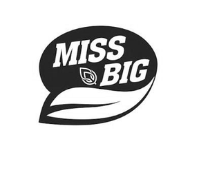 MISS BIG logo