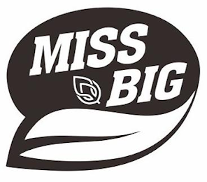 MISS BIG logo