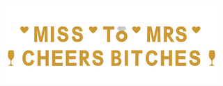 MISS TO MRS CHEERS BITCHES logo