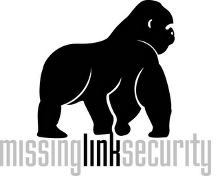MISSINGLINKSECURITY logo