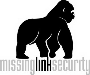 MISSINGLINKSECURITY logo