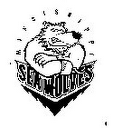 MISSISSPPI SEA WOLVES logo