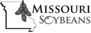 MISSOURI SOYBEANS logo