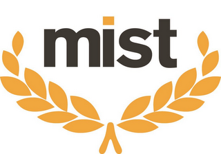 MIST logo