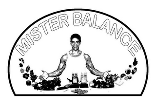 MISTER BALANCE CHIA, HEMP logo