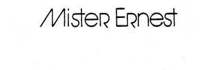 MISTER ERNEST logo