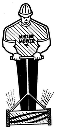 MISTER MOWER logo