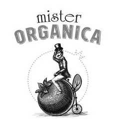 MISTER ORGANICA logo