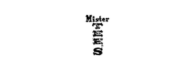 MISTER TEE'S logo