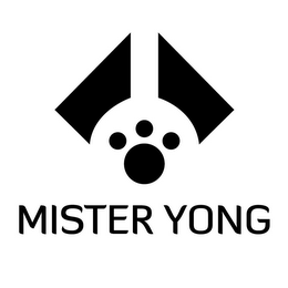 MISTER YONG logo