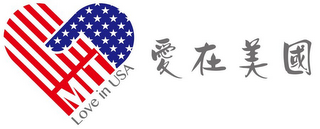 MIT LOVE IN USA logo