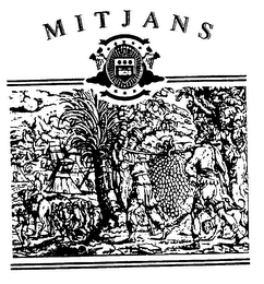 MITJANS logo