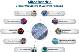 MITOCHONDRIA MASTER REGULATORS OF SYSTEMIC FUNCTION STRESS/MOOD STABILITY BRAIN/NERVOUS SYSTEM HORMONE PRODUCTION GUT MICROBIOME CARDIOVASCULAR HEALTH INFLAMMATION/OX-STRESS METABOLIC FLEXIBILITY MITOCHONDRIAL MEMBRANES & SYSTEM BARRIERS TOTAL TOXIN BURDEN IMMUNE SYSTEM logo