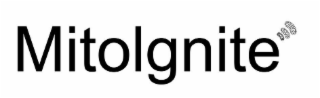MITOLGNITE logo