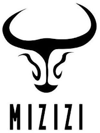 MIZIZI logo
