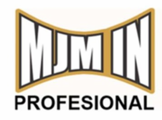 MJM IN PROFESIONAL logo