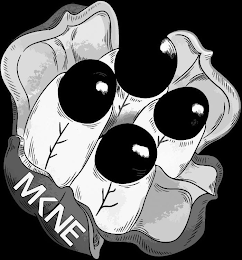 MKNE logo