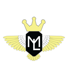 ML logo