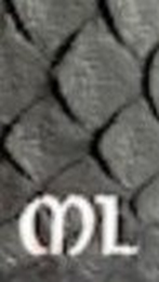 ML logo