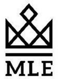 MLE logo