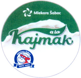 MLEKARA SABAC logo