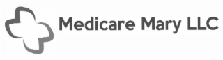 MM MEDICARE MARY LLC logo