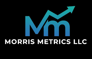 MM MORRIS METRICS LLC logo