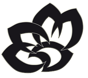 MMD logo
