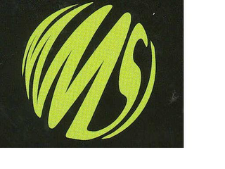 MMSI logo