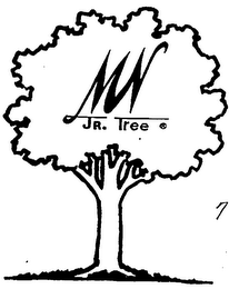 MN JR. TREE logo