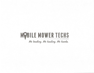 MOBILE MOWER TECHS. NO LOADING. NO HAULING. NO HASSLE. logo