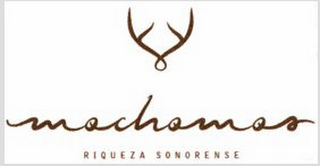 MOCHOMOS RIQUEZA SONORENSE logo