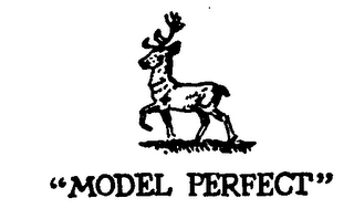 "MODEL PERFECT" logo
