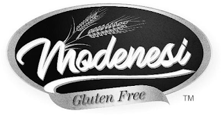 MODENESI GLUTEN FREE logo