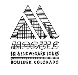 MOGULS SKI & SNOWBOARD TOURS BOULDER, COLORADO logo