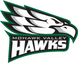MOHAWK VALLEY HAWKS logo