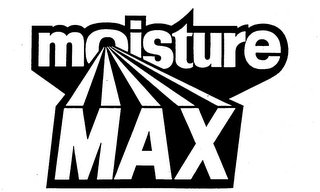 MOISTURE MAX logo