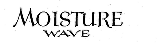 MOISTURE WAVE
