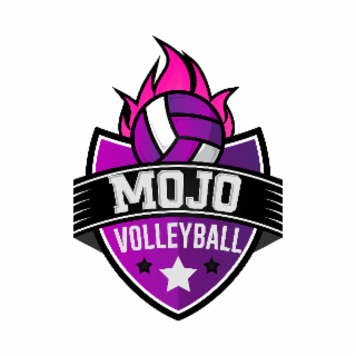 MOJO VOLLEYBALL logo